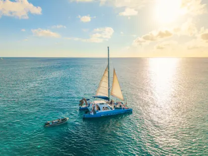 Delphi_aruba_website_